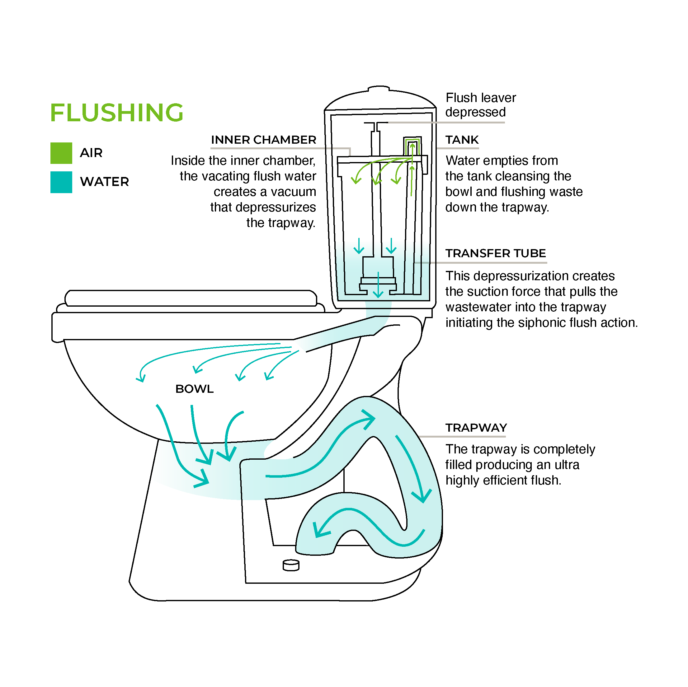 Diagram Of How A Toilet Flushes