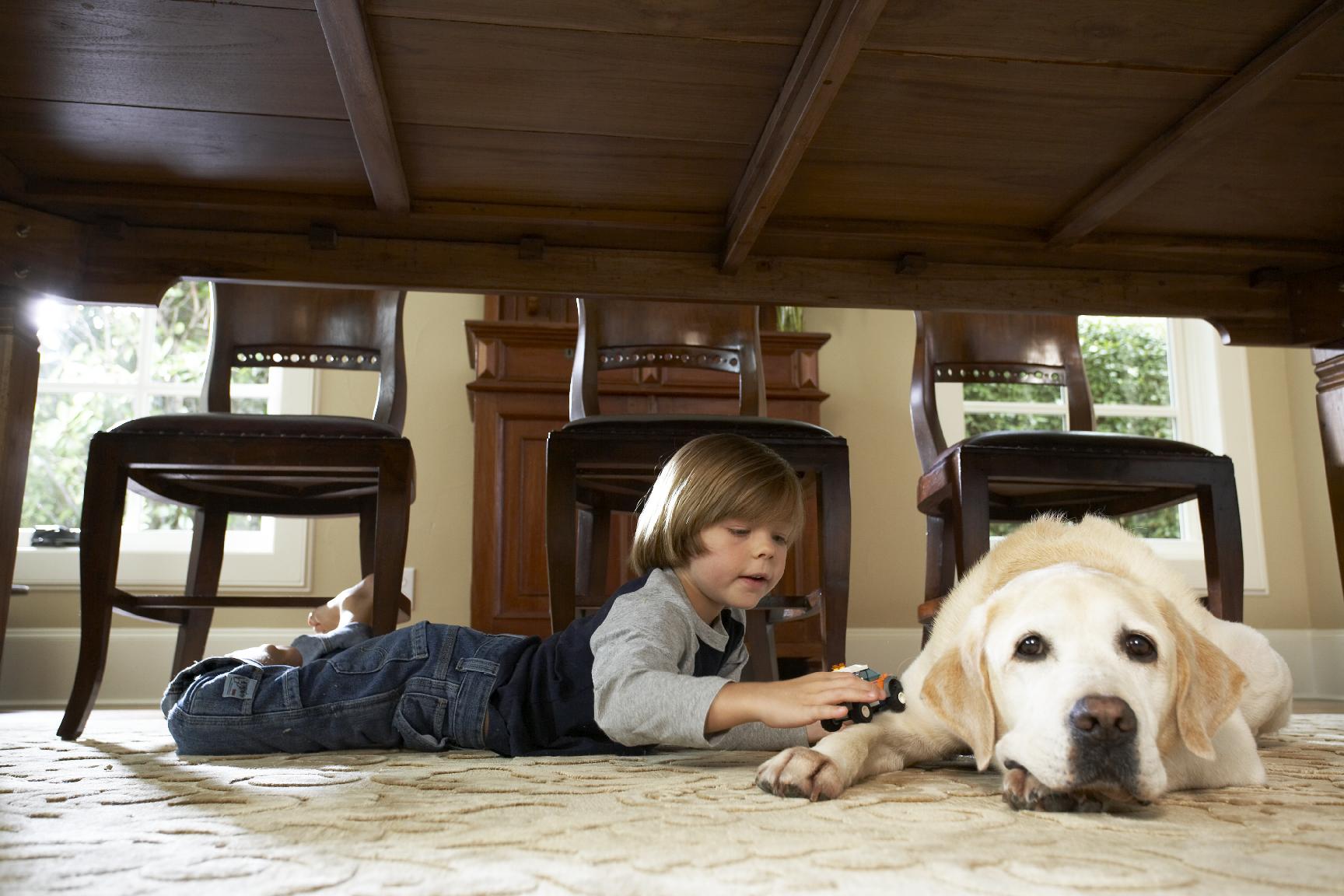 boy and dog playing